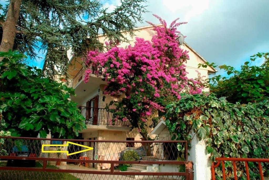 Apartment Ribica Slatine Exterior photo